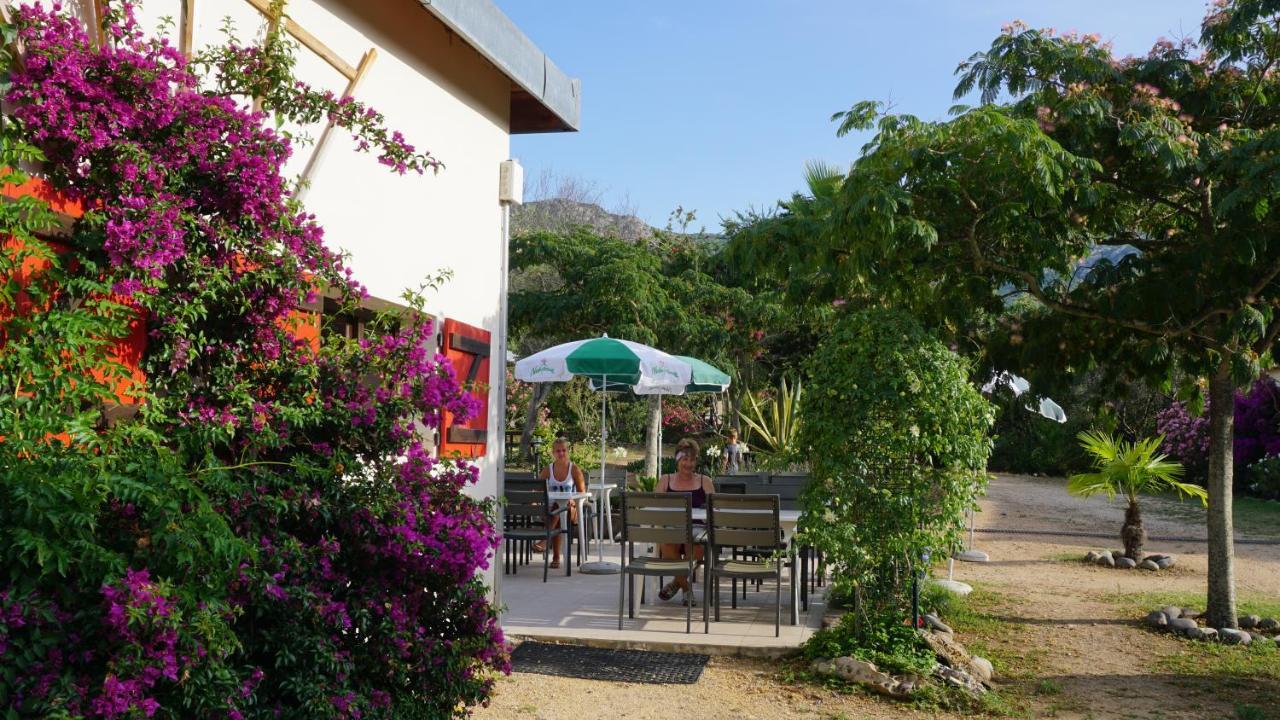 Feriendorf La Mora Calvi  Extérieur photo