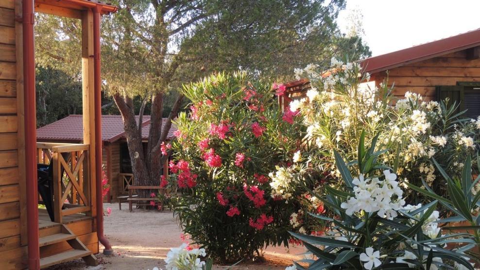 Feriendorf La Mora Calvi  Extérieur photo